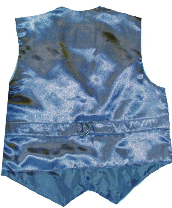 The back view of a blue satin vest.