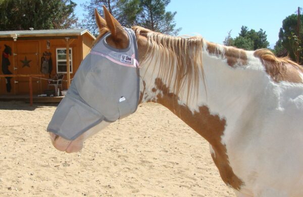 A white and brown horse wearing a Pink ribbon "Sabrina" UV Rated LONG fly mask by Cashel.