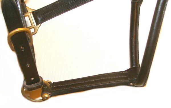 A close-up of a Latigo leather 2 way Breakaway horse Halter.