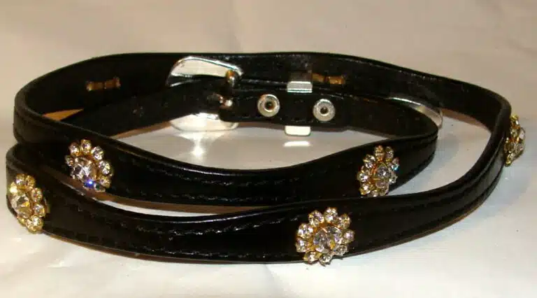 A black leather WHITE Crystal Flower hat band with Silver buckle collar with crystals and rhinestones.
