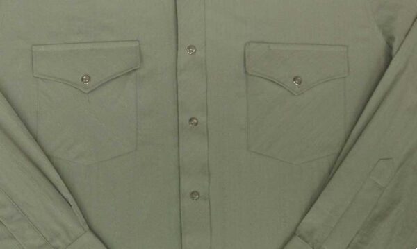 A mens' Mens Sage Green Decorative Stripe Western Shirt with buttons and pockets.