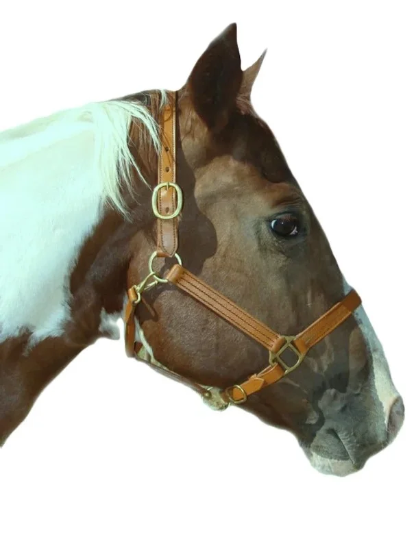 Tan Latigo leather 2 way Breakaway horse Halter