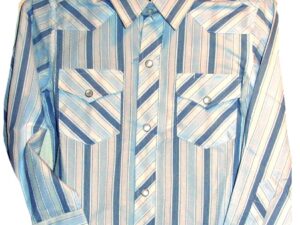 Child pearl snap, Wedgewood Blue stripe western shirt