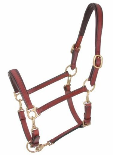 4 Way stable Grooming Padded leather horse Halter