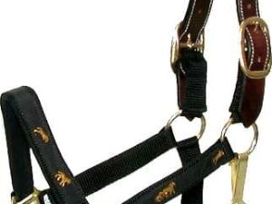 Extra Large Padded Leather Horse Halter