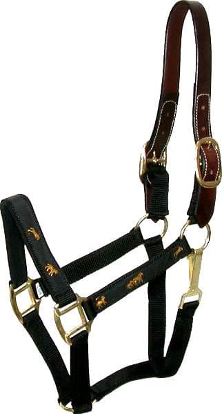 Extra Large Padded Leather Horse Halter