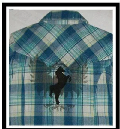 Girls Native Spirit Horse print plaid western shirt