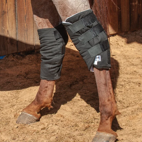 A horse wearing a Horse Bandage Wrap Cover Hock sock.