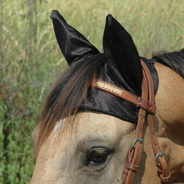 A Horse and Mule Comfort Ear net by Cashel wearing a black bridle.