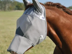 A horse wearing the Crusader UV Rated Horse Fly Mask with Nose and Ears in a field.