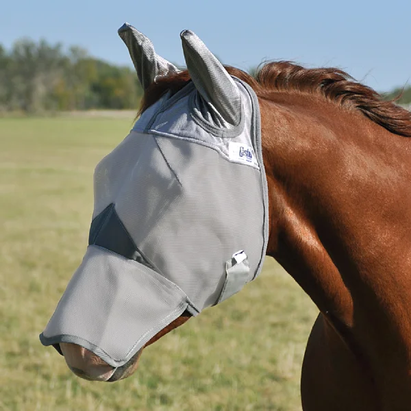 A horse wearing the Crusader UV Rated Horse Fly Mask with Nose and Ears in a field.