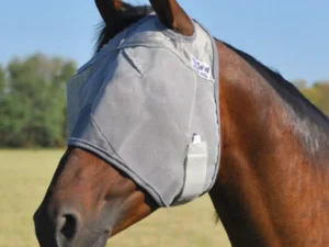 A horse wearing a Standard Crusader UV Rated Horse Fly Mask in a field.