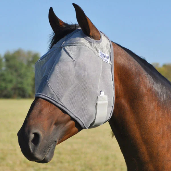 A horse wearing a Standard Crusader UV Rated Horse Fly Mask in a field.