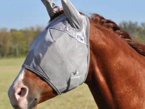 A horse wearing a UV Rated Crusader Horse fly mask with covered Ears in a field.