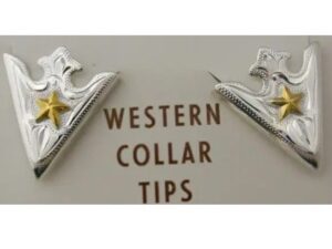 A pair of "Western Star" Silver Gold Star shirt collar tips on a card.