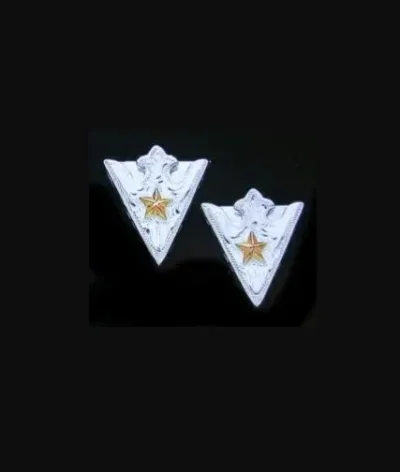 A pair of "Western Star" Silver Gold Star Shirt collar tips.