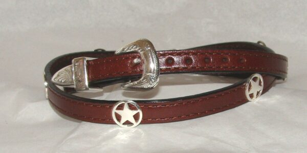 A brown leather collar with a Silver Western Star on Brown leather cowboy hat band.