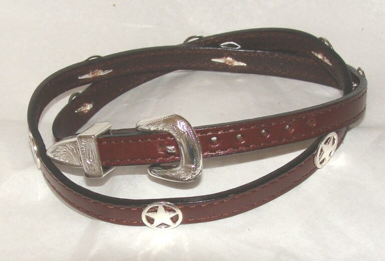 A brown leather belt with a Silver Western Star on Brown leather cowboy hat band.