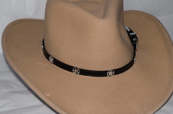 A tan cowboy hat with a black leather band.
