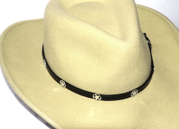 A cowboy hat with a black leather band.