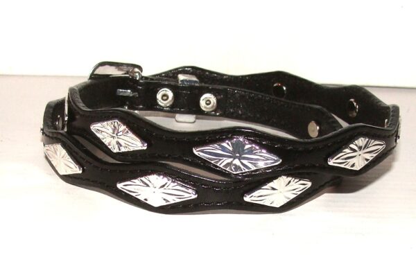 A black leather dog collar with silver studs.