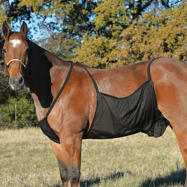 A brown Horse Fly Belly Guard by Cashel standing in a field with a black halter.