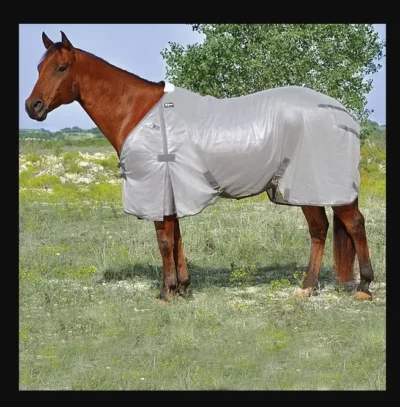 <div class="qsc-html-content"> Cashel Gray UV Rated Horse Fly Sheet <ul style="list-style: square inside none;"> <li>70% UV Protection</li> <li>Freedom of movement</li> <li>polyester mesh</li> <li>SIZES: 74 - 82</li> </ul> </div> •