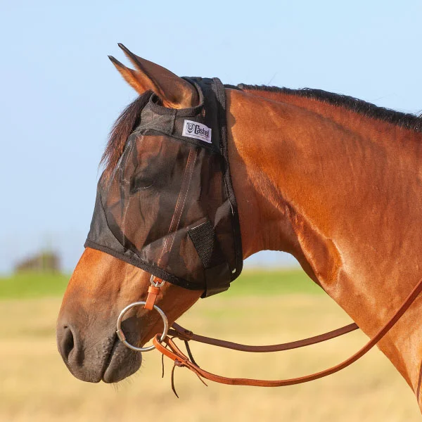 A horse wearing the Standard Quiet Ride Horseback Riding Horse Fly Mask in a field.