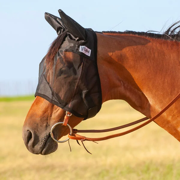 A horse wearing a Standard Quiet Ride Horseback Riding Horse Fly Mask with Ears in a field.