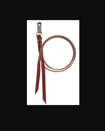 A red leather leash with a buckle and horse saddle D Ring Clip Assembly Strings with Screws.