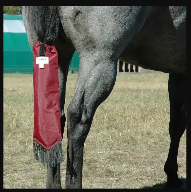 A horse is standing in a field with a Horse tail bag wrap by Cashel.