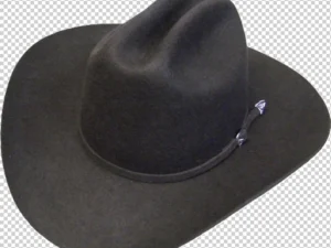 brown wool cowboy hat