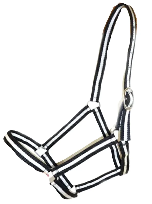 economy nylon horse halters