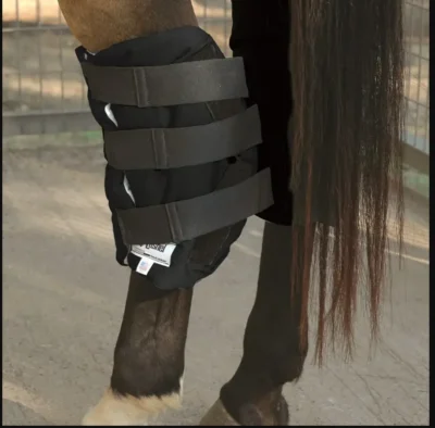A horse is standing in a stall with a Horse Bandage Wrap Cover Hock sock secured by a bandage.