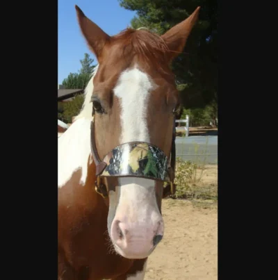 Mossy Oak Camo Leather Bronc Noseband Halter