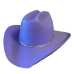 can-purple_edited-150x150.webp display picture 3