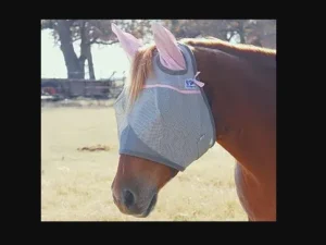 A horse wearing a Pink ribbon UV Rated SHORT fly mask with EARS foal size in a field.