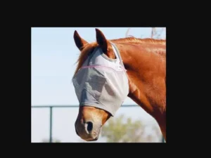 A horse wearing a PINK Ribbon "Tabitha" UV Rated SHORT fly mask by Cashel.