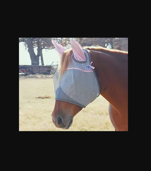 A horse wearing a Pink ribbon UV Rated SHORT fly mask with EARS foal size in a field.