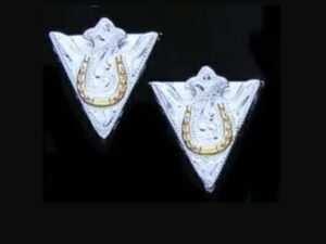 Golden horseshoe Engraved silver collar tips