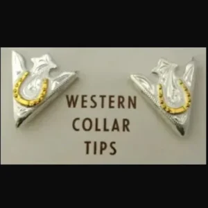 Golden horseshoe Engraved silver collar tips