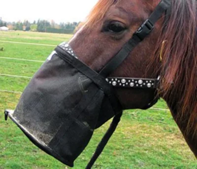 horse Feed and Grain bag halter