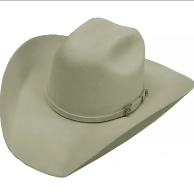 Adult Silverton Gray Wool Cowboy Hat <ul> <li>Silverton Crown</li> <li>4x fur</li> <li>RAW EDGE</li> <li>6-5/8 to 7-5/8</li> </ul> •