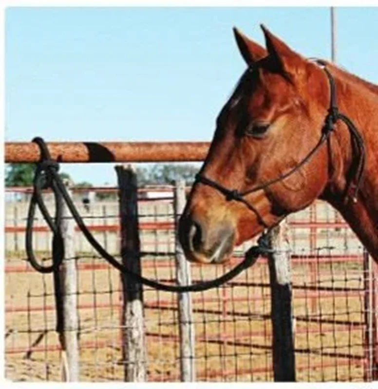 Horse size black Nylon rope halter and lead rope combination with 8" yacht line lead that is Adjustable