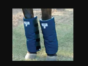 A pair of Horse Bandage Shipping Wraps Trailer Aids on horse's feet for shipping in a horse trailer.