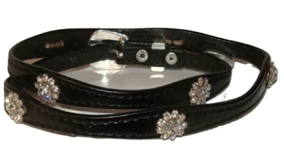 Crystal Flower hat band with Silver buckle collar with crystals and rhinestones.