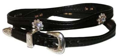 Crystal Flower hat band with Silver buckle collar with crystals and rhinestones.