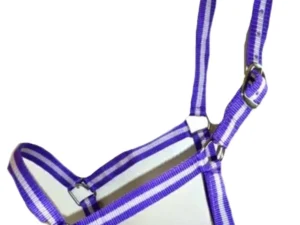 economy nylon horse halters