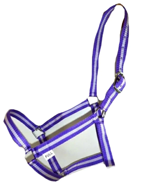 economy nylon horse halters