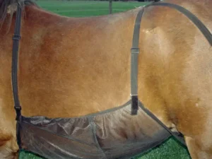 Cashel Quiet Ride Equine Horse Belly Guard